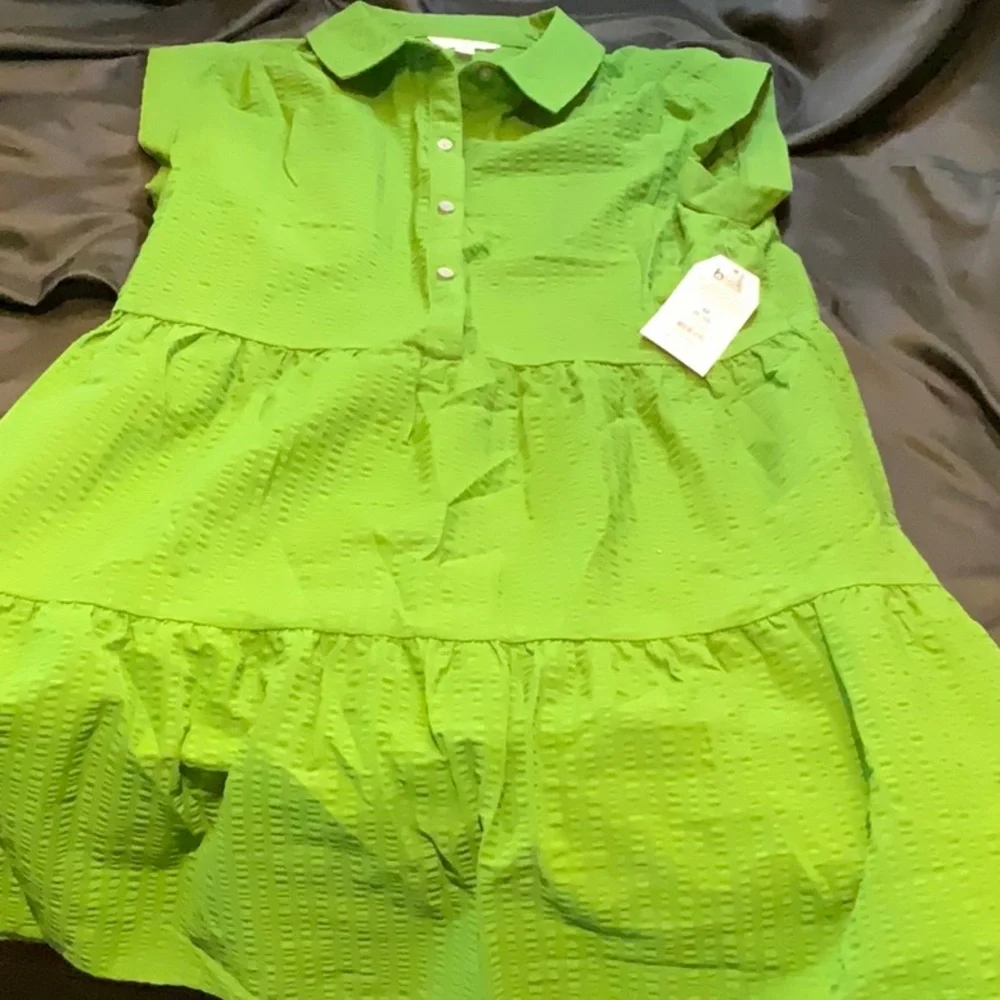 Time and Tru Green Textured Dress - Picture 5 of 5